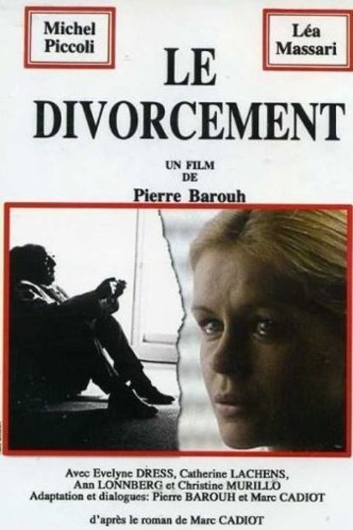 Постер Le divorcement